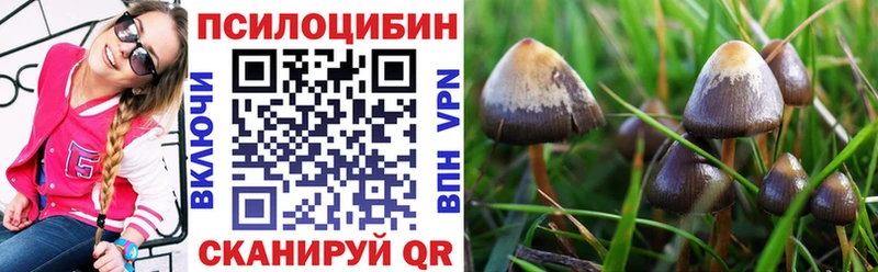 даркнет сайт  Рошаль  Галлюциногенные грибы GOLDEN TEACHER 